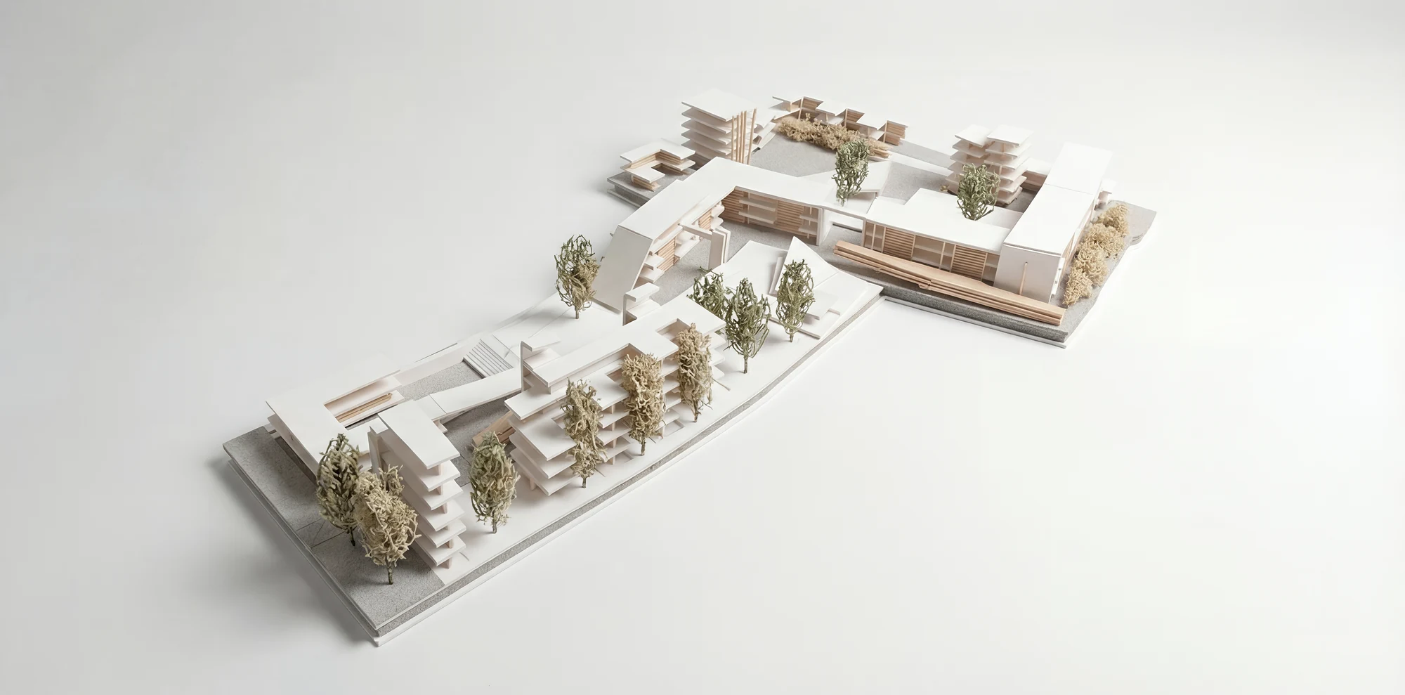 Plato's Academy street level